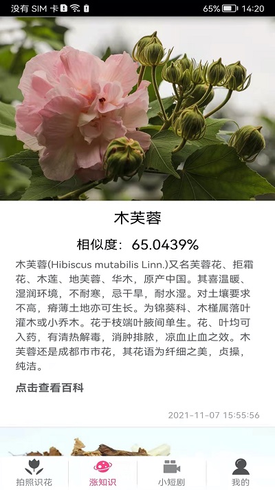 拍照识花神器官方版 拍照识花神器软件下载