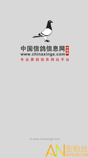 中国信鸽信息网下载安装
