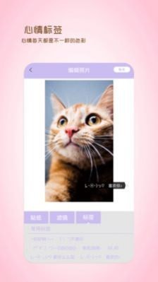 全能美日相机 1