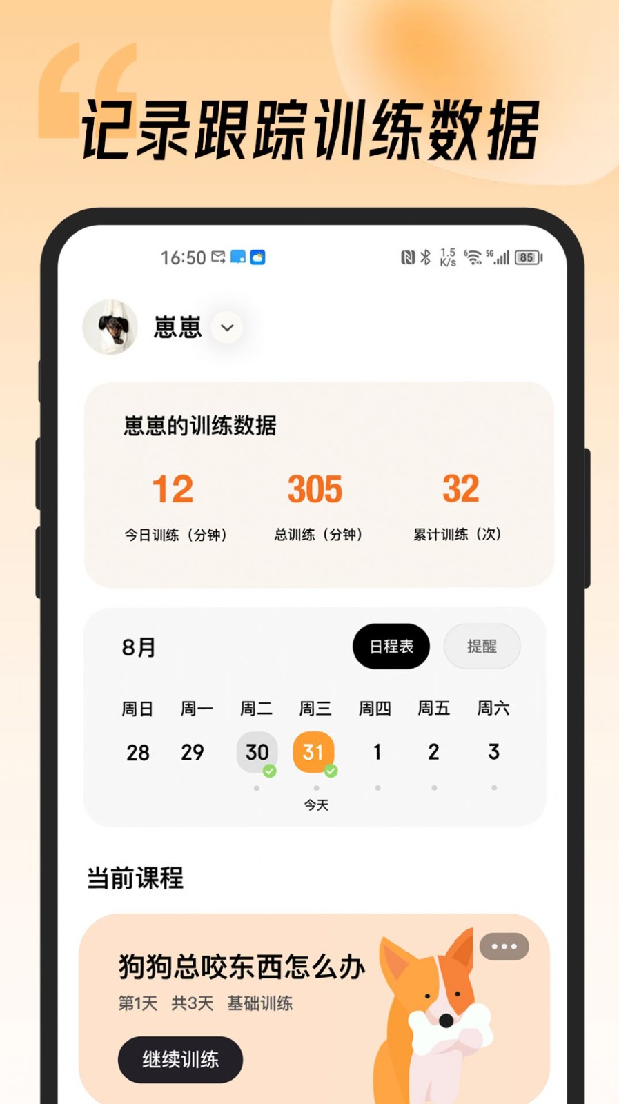 宠物记 1
