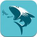 鲨鱼影视app游戏图标