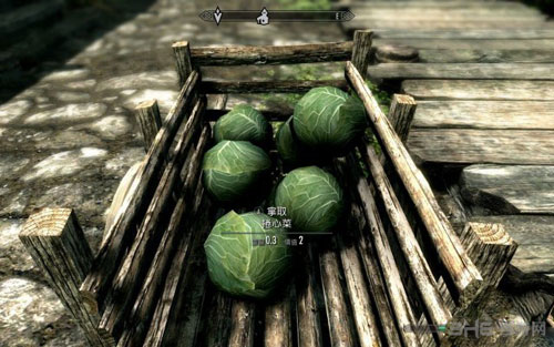 上古卷轴5重制版和原版对比图片29