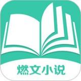 燃文小说app