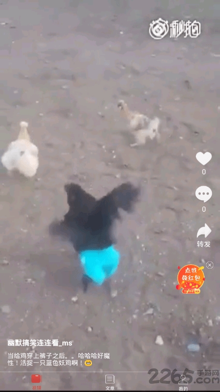 66视频下载 66视频app