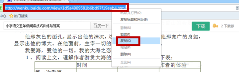 冰点文库下载器绿色版 冰点下载器2022最新可用版下载