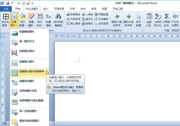 Word精灵下载