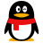 QQ电脑版2022v9.5.4(PC版)