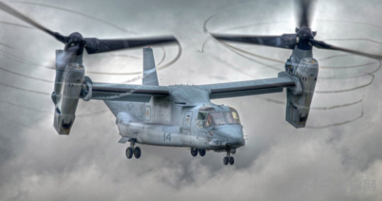 巨象 复仇者游戏图片2