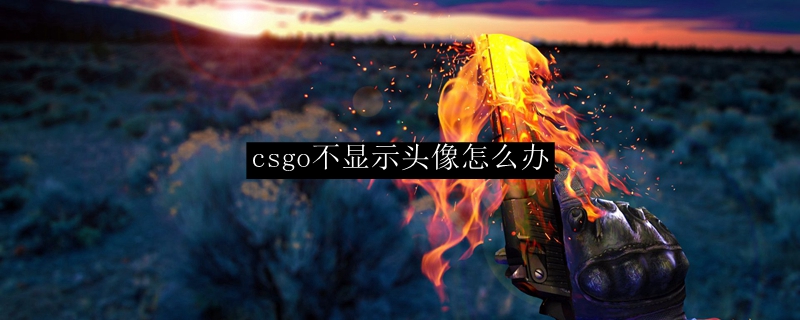 csgo不显示头像怎么办