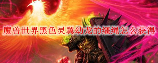 魔兽世界黑色灵翼幼龙的缰绳怎么获得