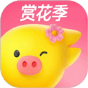 飞猪旅行官方版 v9.9.82.104