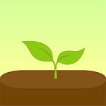 forest专注森林安卓版 v4.74.0