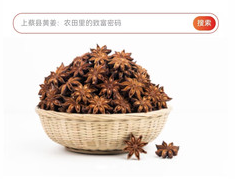 中香网app