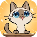 猫咖怪谈