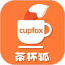 茶杯狐Cupfox