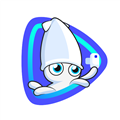 <strong>闪念相机app</strong>