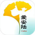 <strong>爱安陆</strong>