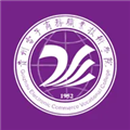 <strong>数智电商</strong>